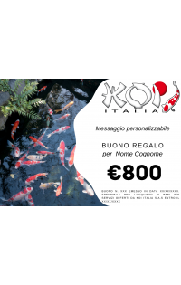 Buono regalo 800 euro